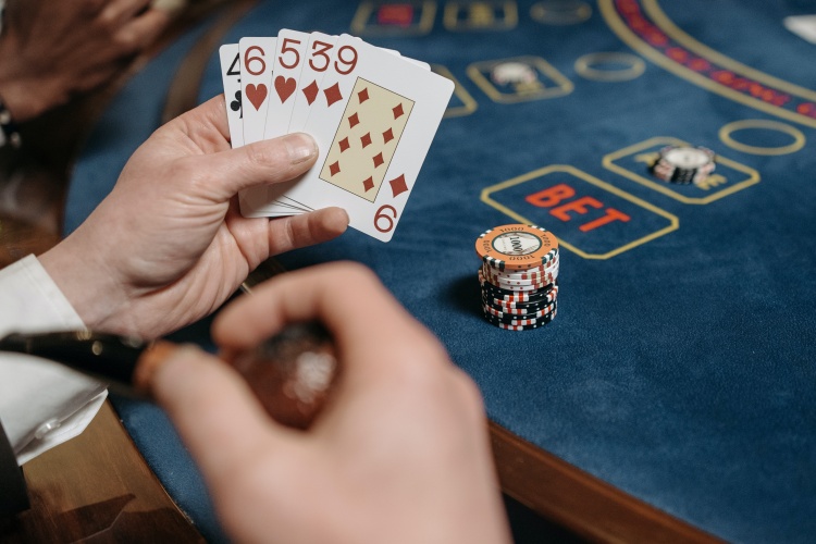 What to Look For When Selecting an Online Casino in NZ
